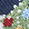 Pima Cotton Holiday-Themed Socks - Navy Christmas Trees